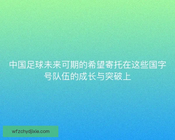 中国足球未来可期的希望寄托在这些国字号队伍的成长与突破上